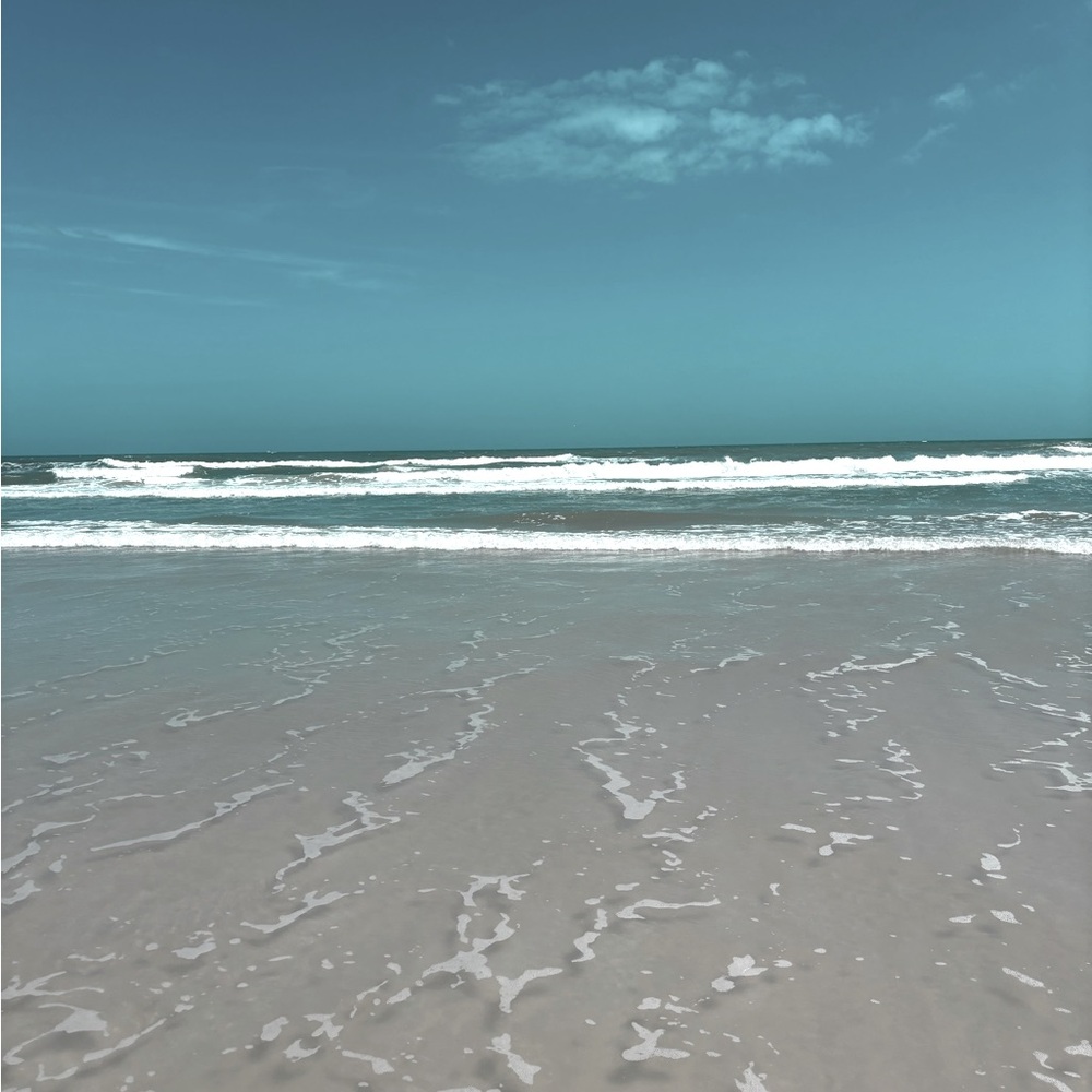 Meet your Posher, Audrey